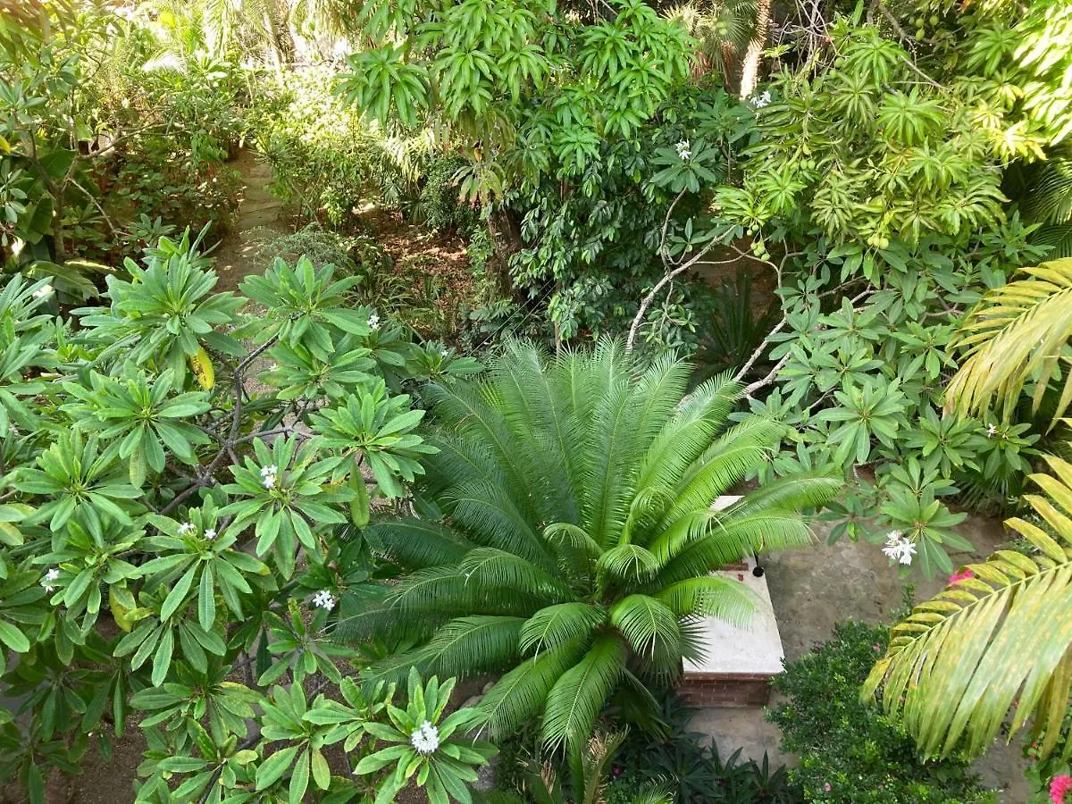 'Frida House' One Bedroom Apartment With Garden Cabarete