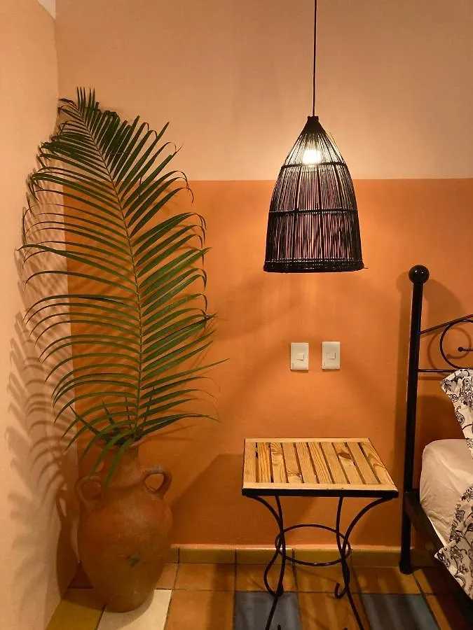 'Frida House' One Bedroom Apartment With Garden Cabarete