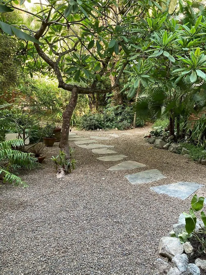 'Frida House' One Bedroom Apartment With Garden Cabarete